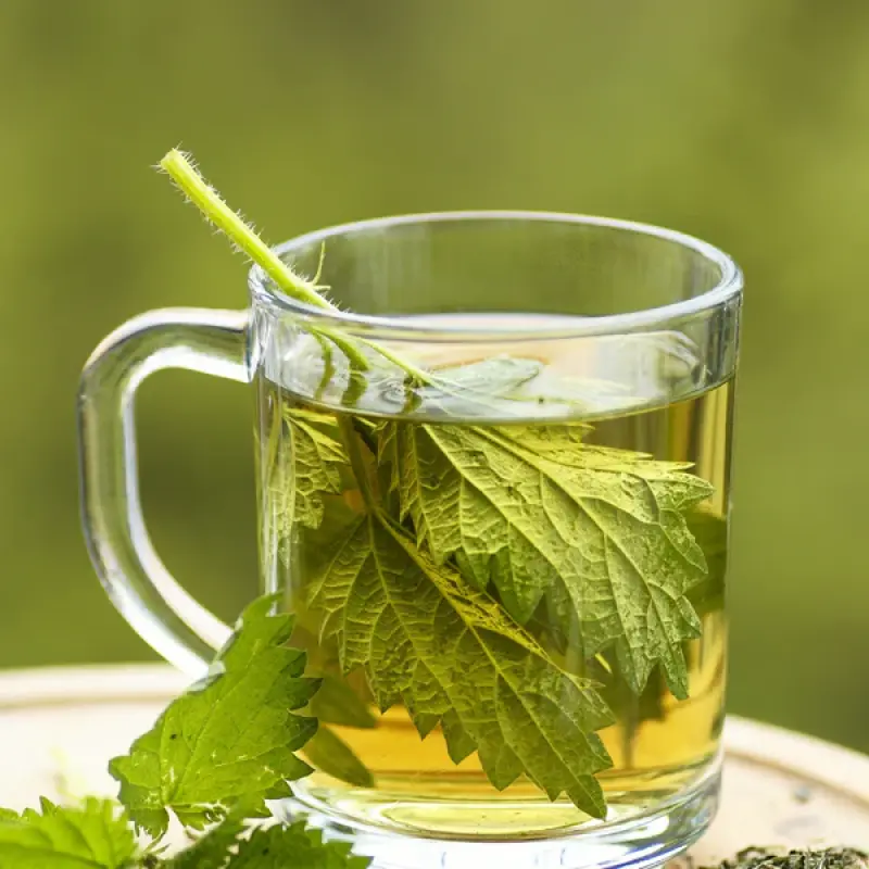Pure Nettle Leaves - 30gms | Pahari Haat