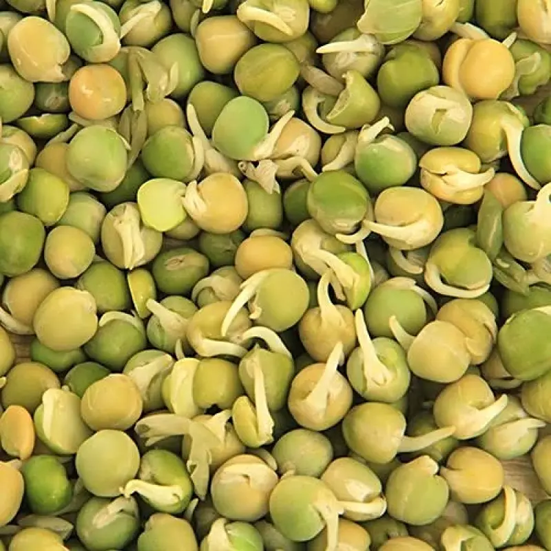 fresho! Green Peas Sprouts, 200 g