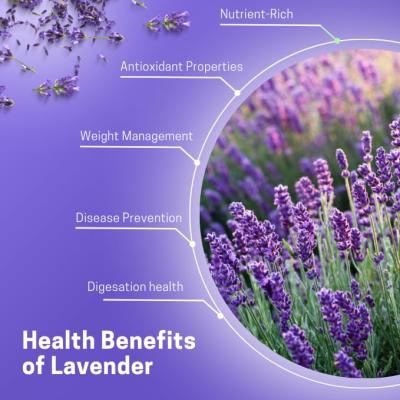 Jaivik Uttarakhand - Lavender Flowers Buds (50 g), Sun Dried Flowers, Lavandula angustifolia, HAIRGROWTH, BLOOD pressure