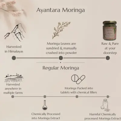 Himalayan Moringa Leaf Powder - 80gms | Ayantara