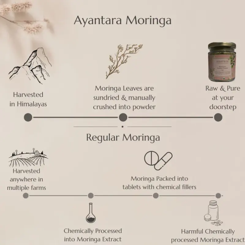 Himalayan Moringa Leaf Powder - 80gms | Ayantara