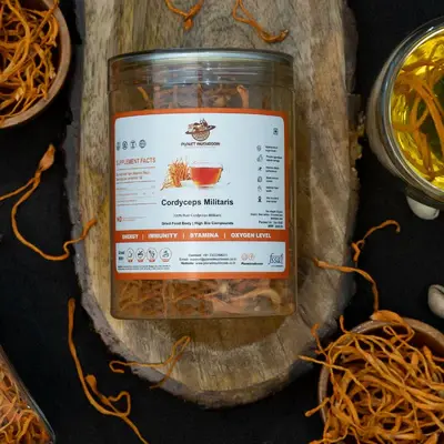 Cordyceps Militaris Dried Mushrooms 50gms | Planet Mushroom