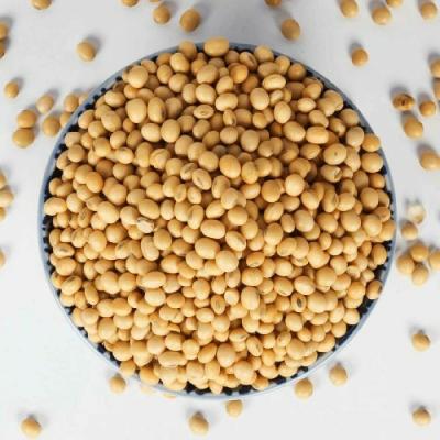 Organic Pahadi Soybean 500gm.