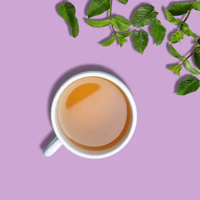 Himalayan Spearmint Tea - 30gms | Pahari Haat