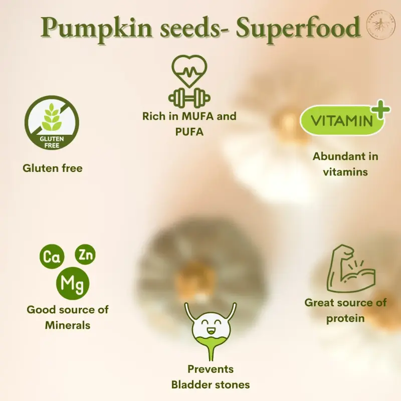 Earthen Story Organic Raw Pumpkin Seeds