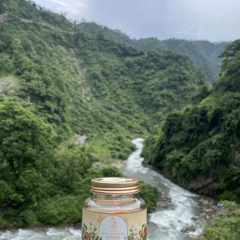 Himalayan Chichri Honey 250gms (Limited Produce) | Ayantara