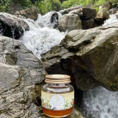 Himalayan Multi Floral Honey 250gms (Limited Produce) | Ayantara