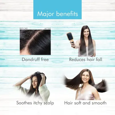 Kesh King Ayurvedic Anti-Dandruff Shampoo