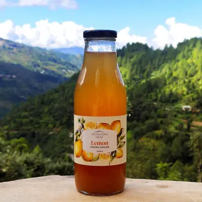 Lemon Ginger Cooler 500ml | Himalayan Haat