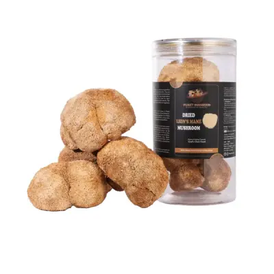 Lion's Mane (100% Dried Fruit Body, 50gms Box) | Planet Mushroom