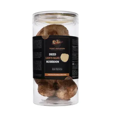Lion's Mane (100% Dried Fruit Body, 50gms Box) | Planet Mushroom