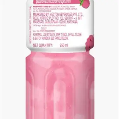 Paper Boat Lychee Fruit Drink with Chewy Cubes (Nata de Coco)