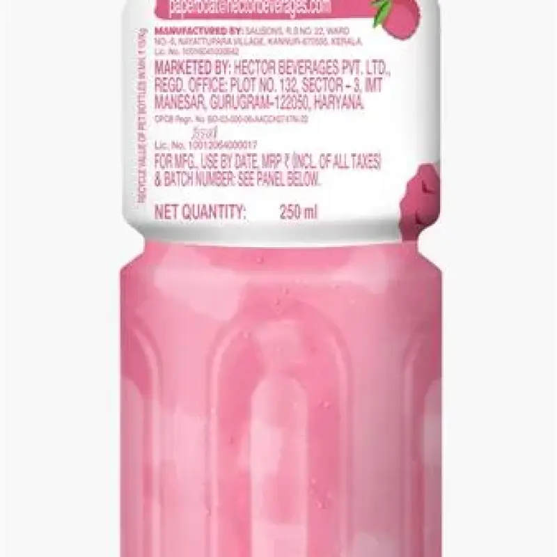 Paper Boat Lychee Fruit Drink with Chewy Cubes (Nata de Coco)