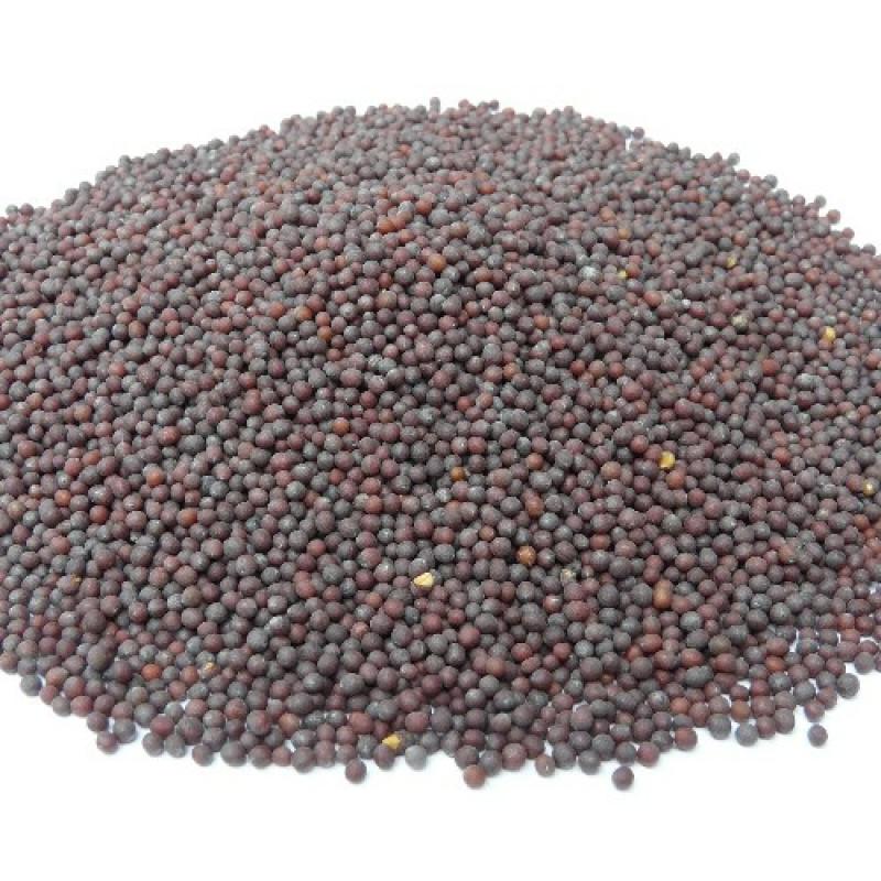 Jakhiya Seeds