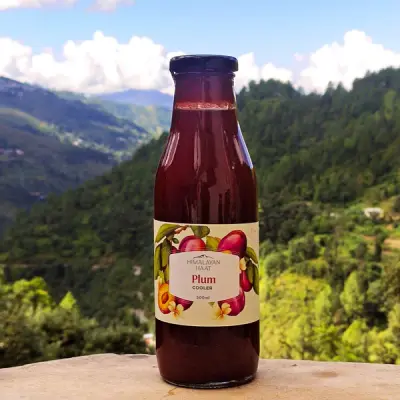 Plum Cooler 500ml | Himalayan Haat