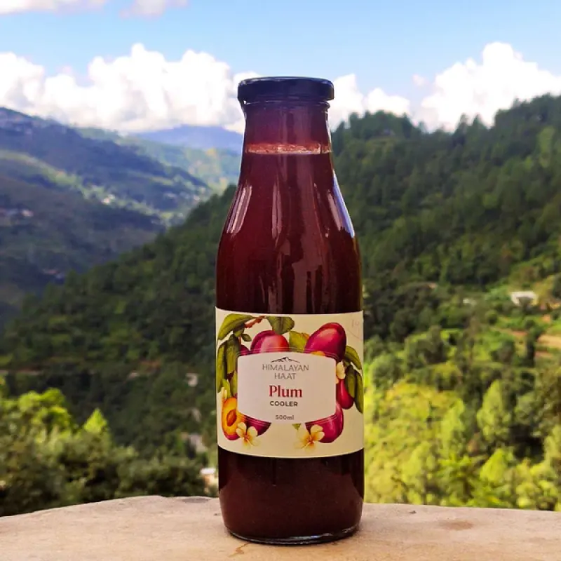 Plum Cooler 500ml | Himalayan Haat