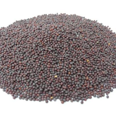 Jakhiya Seeds