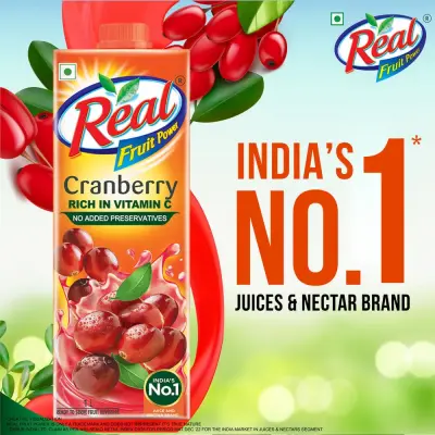 Real Fruit Power Cranberry Juice Tetrapack