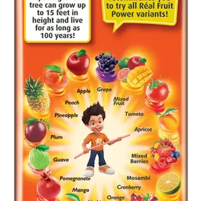 Real Fruit Power- Pomegranate Juice Tetrapack 180 ml Combo
