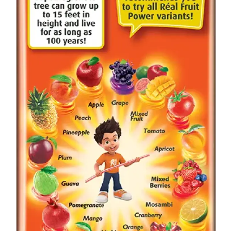 Real Fruit Power- Pomegranate Juice Tetrapack 180 ml Combo