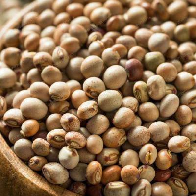 Toor Daal (Pahadi Pigeon Pea) 500gm.