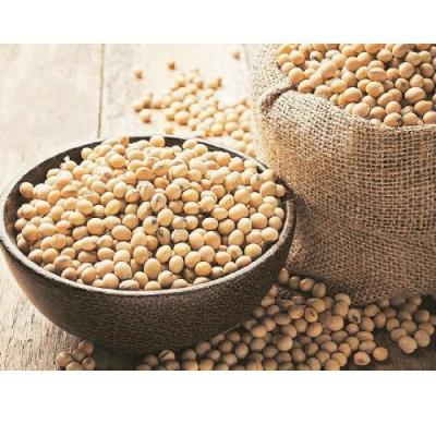 Organic Pahadi Soybean 500gm.