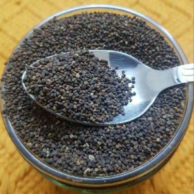 Jakhiya Seeds